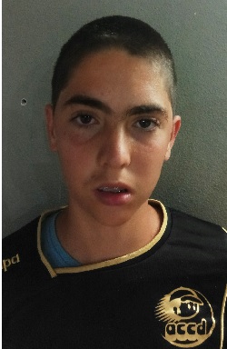 fotografia associado