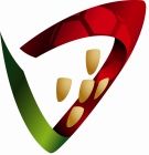 Logo Curso de Treinadores de Grau I – Porto 2026